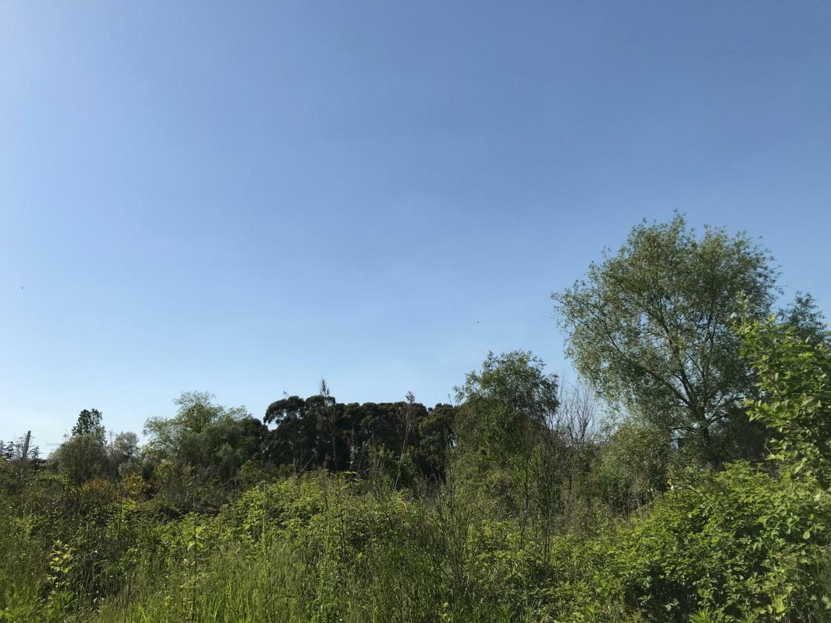 Ainar Gagra Exterior foto